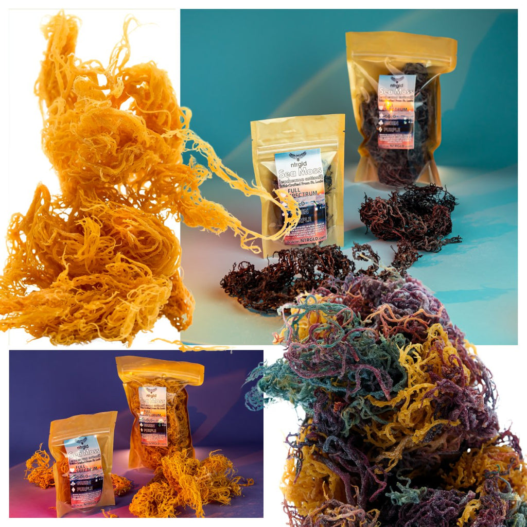 Sea Moss - Neter Gold